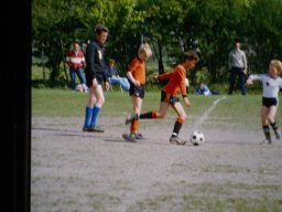 0DIA 1984 RAVA PUPS 1
